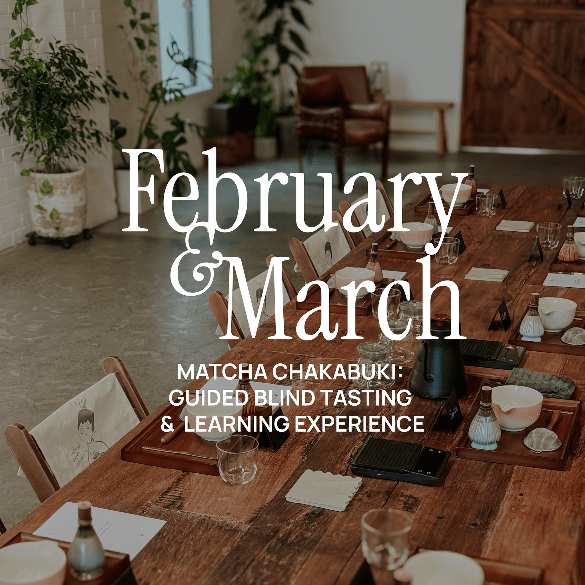 Matcha Chakabuki: Guided Blind Tasting & Learning Experience (February/ March) by Matchatomo -- matcha product image