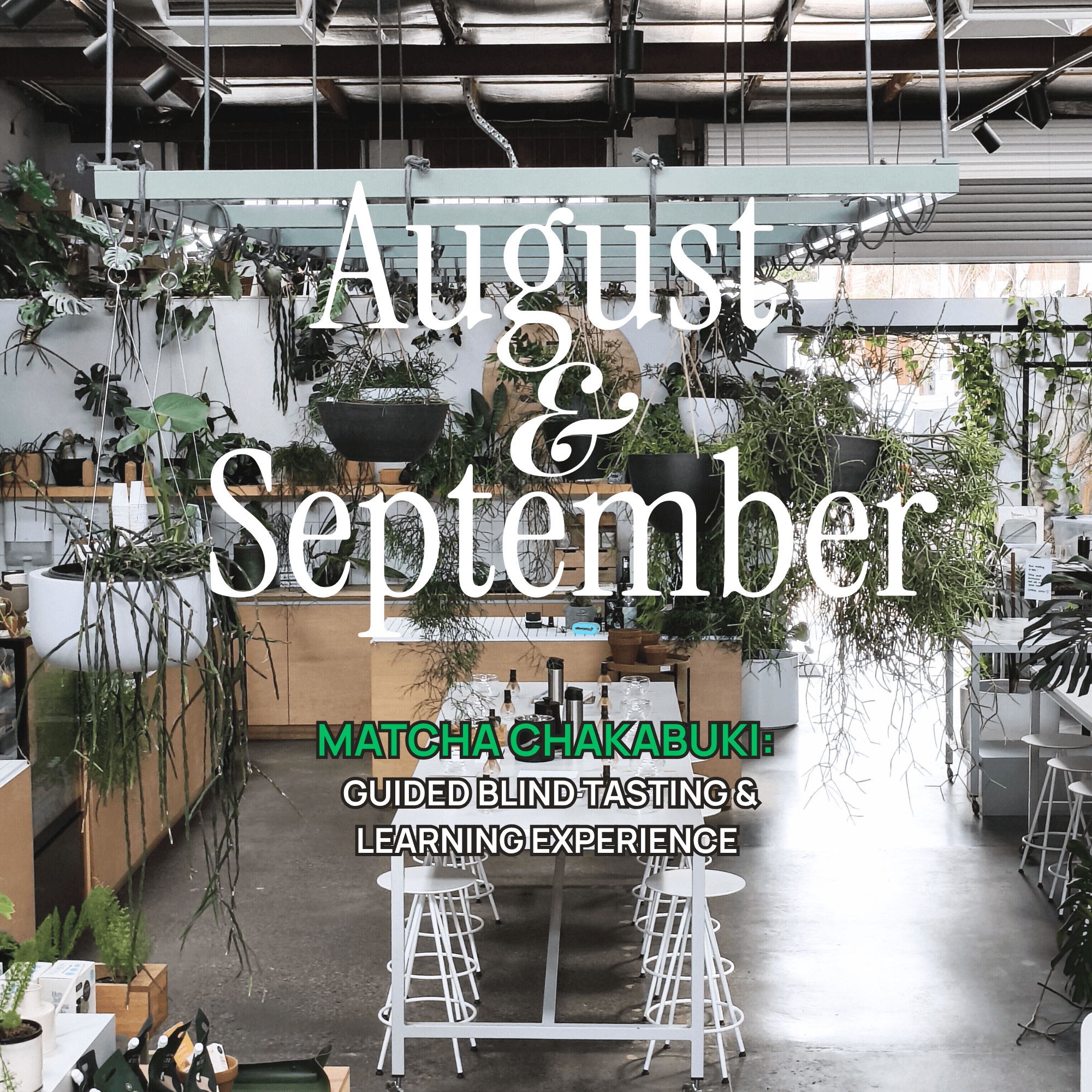Matcha Chakabuki: Guided Blind Tasting & Learning Experience (August/September) by Matchatomo