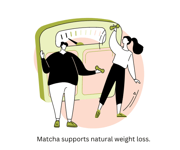 Are You Struggling to Lose Weight Safely? Daily Matcha Can Help Boost Your Metabolism by Matchasource -- matcha product image