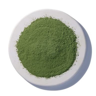 Matcha Tea Powder Organic, Fair Trade by Starwest Botanicals