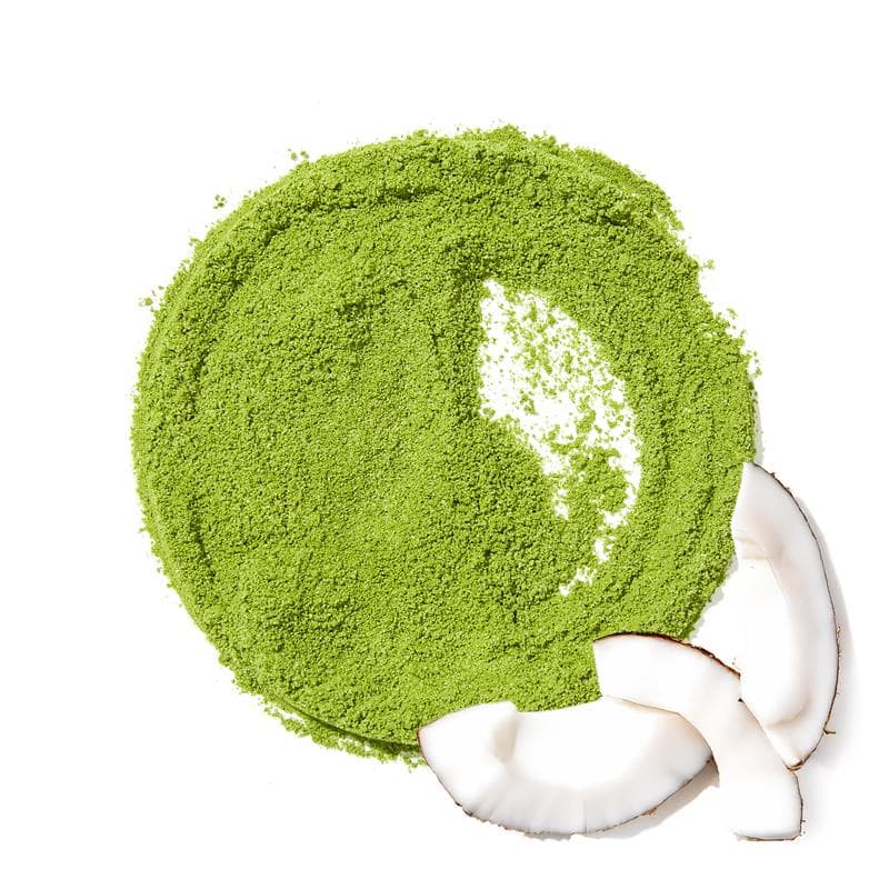 Matcha à la noix de coco biologique by DAVIDsTEA -- matcha product image