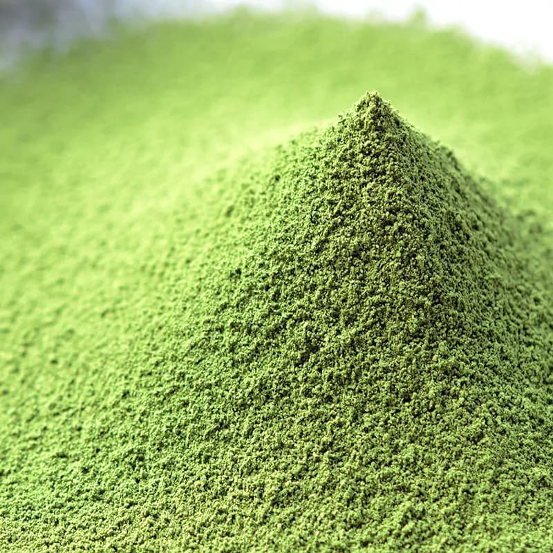 Buy Matcha Chiyo no Sakae Ceremonial Grade Matcha Hekisuien by Hekisuien -- matcha product image