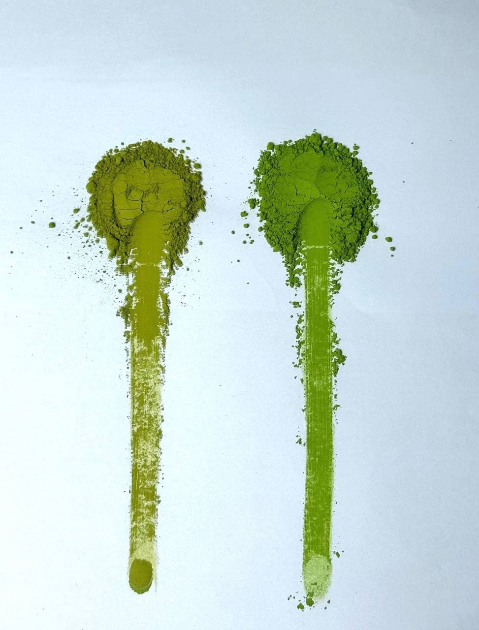Wholesale Matcha powder – 1kg Bags by Jpncha -- matcha product image