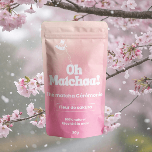 Matcha Cerimoniale Fiore di Sakura by Oh-Matchaa